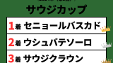 【サウジカップ】2024年の結果！払い戻しとレース成績！掲示板内・配当・着順