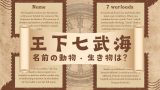 【王下七武海】七武海の動物の名前!歴代メンバーのキャラ名のどこにある?