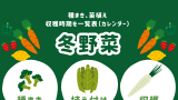 【冬野菜を植える時期】家庭菜園プランター栽培の初心者カレンダー（12・1・2月）