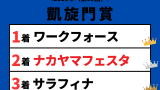 【凱旋門賞】2010年の結果！ナカヤマフェスタの戦歴と成績