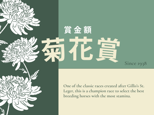 【菊花賞】2026年の賞金はいくら?優勝馬の賞金推移(1984年~現在)