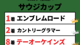 【サウジカップ】2022年の結果！払い戻しとレース成績！掲示板内・配当・着順