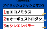 【アイリッシュチャンピオンステークス】2024年の結果と払い戻し！掲示板内・着順