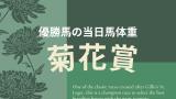 【菊花賞馬】当日馬体重が500kg以上なら菊花賞を勝てない!過去の馬体重データ