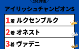 【アイリッシュチャンピオンステークス】2022年の結果と払い戻し！掲示板内・着順
