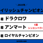 【アイリッシュチャンピオンステークス】2025年の結果と払い戻し!掲示板内・着順