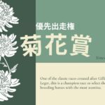 【菊花賞】2025年の優先出走権！菊花賞トライアルレースの日程と結果は？