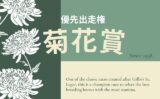 【菊花賞】2026年の優先出走権!菊花賞トライアルレースの日程と結果は?