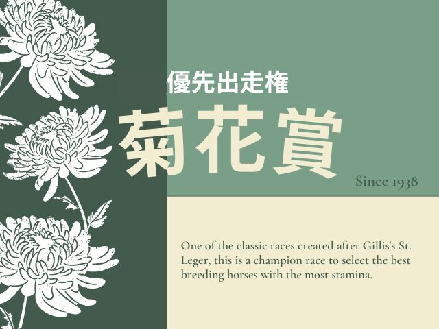 【菊花賞】2026年の優先出走権!菊花賞トライアルレースの日程と結果は?