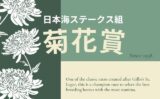 【菊花賞】日本海ステークス組（3勝クラス）の成績！過去10年の傾向