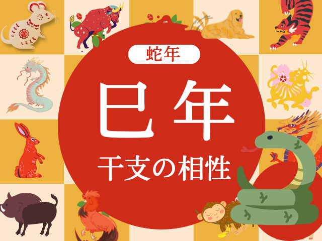 【蛇年】巳年と相性の良い干支と悪い干支（2026年度版:へびどし・みどし）