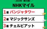 【NHKマイルカップ】2025年の結果!払い戻しとレース成績!掲示板・配当・着順