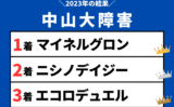 【中山大障害】2023年の結果！払い戻しとレース成績！掲示板内・配当・着順