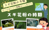 【2026年】スギ花粉の時期はピーク日はいつ？飛散はいつまで？今年の予報情報