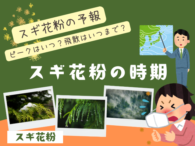 【2026年】スギ花粉の時期はピーク日はいつ？飛散はいつまで？今年の予報情報
