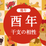 【鶏年】酉年と相性の良い干支と悪い干支（2026年度版:とりどし）