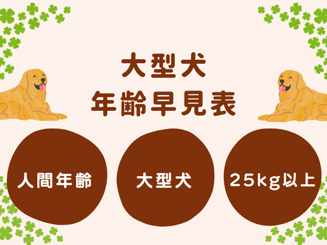 【大型犬】犬の年齢を人間換算すると何歳？（犬年齢早見表）