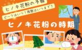 【2026年】ヒノキ花粉の時期はピーク日はいつ？飛散はいつまで？今年の予報情報