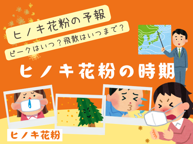 【2026年】ヒノキ花粉の時期はピーク日はいつ？飛散はいつまで？今年の予報情報