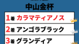 【中山金杯】2026年の結果！払い戻しとレース成績！掲示板内・配当・着順
