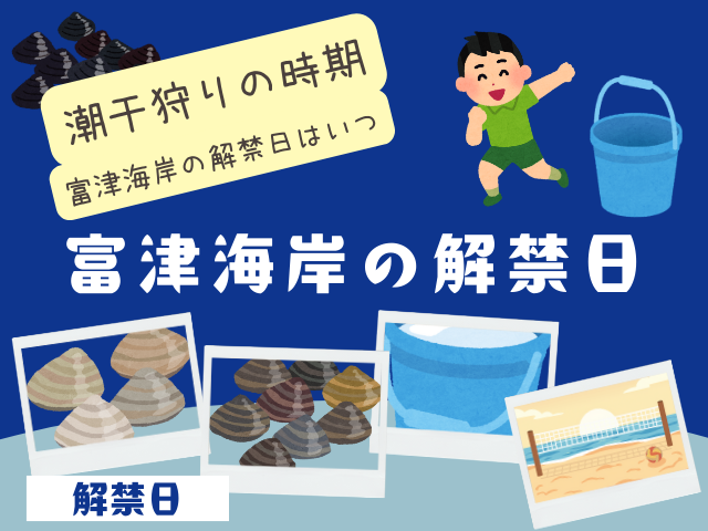 【2026年】富津海岸の潮干狩りの解禁日はいつから?時期はいつまで?(令和8年度版)