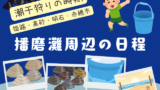 【2026年】播磨灘周辺の潮干狩り時期はいつから?姫路・須磨海岸・的形等の解禁日