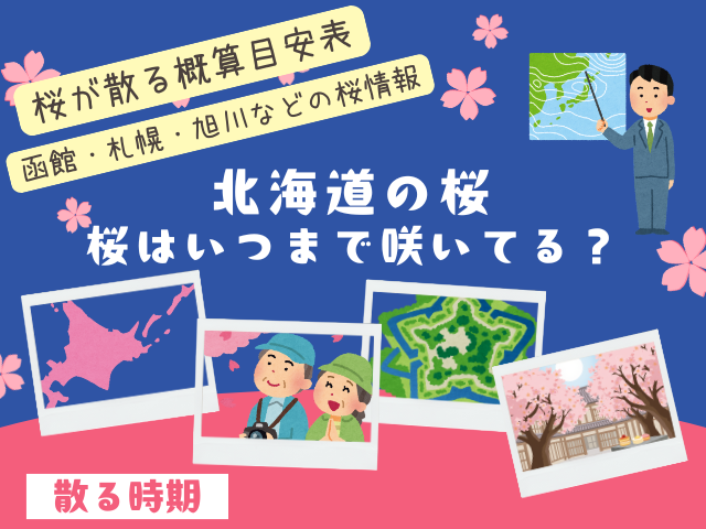 【函館・札幌・旭川】桜はいつまで咲いてる?2026年に桜が散る時期(北海道版)