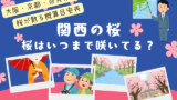 【関西】桜はいつまで咲いてる?2026年に桜が散る時期(大阪・京都・奈良県の周辺)