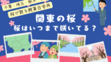 【関東】桜はいつまで咲いてる?2026年に桜が散る時期(千葉・埼玉・栃木・群馬)