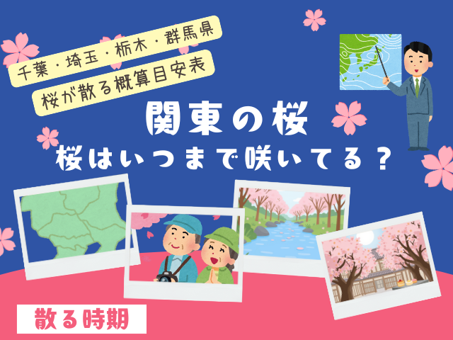 【関東】桜はいつまで咲いてる?2026年に桜が散る時期(千葉・埼玉・栃木・群馬)
