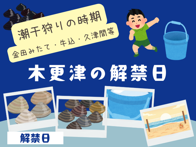 【2026年】木更津海岸の潮干狩りの解禁日はいつから？時期はいつまで？（令和8年度版）