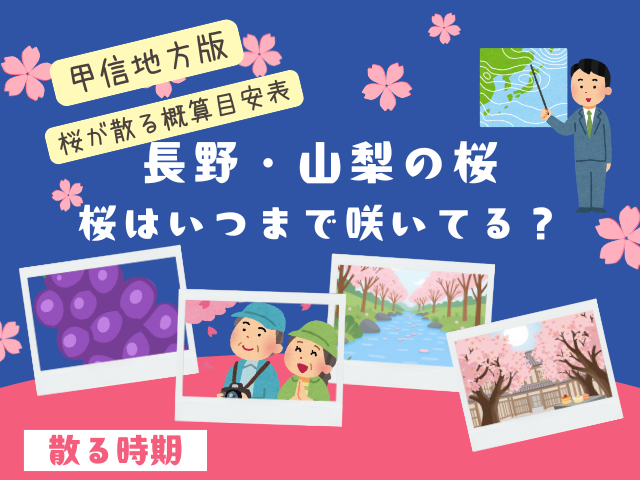 【甲信地方】桜はいつまで咲いてる?2026年に桜が散る時期(長野・山梨県)