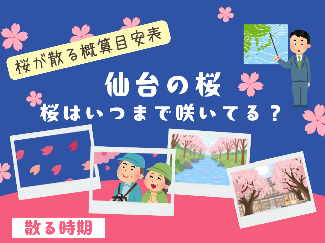【仙台】桜はいつまで咲いてる?2026年に桜が散る時期(白石川堤や市内)