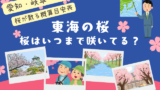 【東海】桜はいつまで咲いてる?2026年に桜が散る時期(愛知・岐阜・三重県)