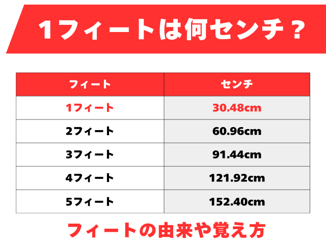 1フィートは何センチ?長さの由来や覚え方(feet・cm)