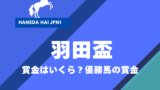 【羽田盃】2026年の賞金はいくら？優勝馬の賞金（地方Jpn1）